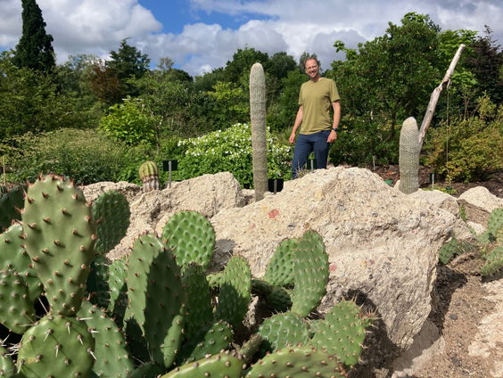 In de evolutietuin maak je een tijdreis door 900 miljoen jaar plantenevolutie
