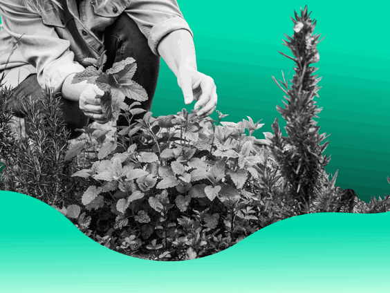 PFAS in de provincie