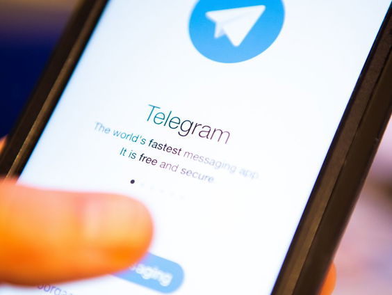 Tientallen kanalen met sportwedtips op Telegram, blijkt uit Pointer-onderzoek