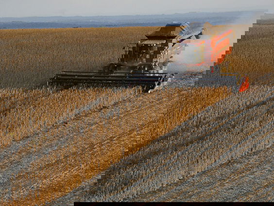 Hoe er met soja gesjoemeld kan worden