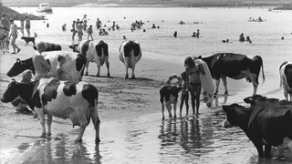 Wat maakt de hittegolf van 1976 ongeëvenaard?