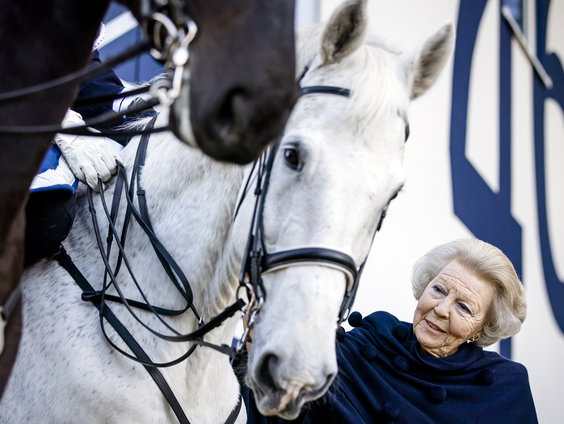 Waarom heeft ons koningshuis al eeuwenlang zo'n bijzondere band met paarden?