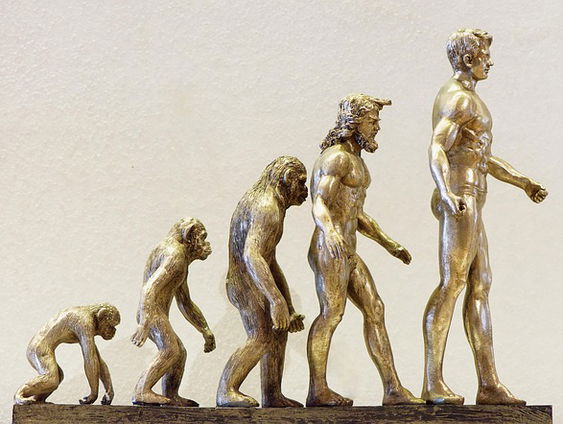 Waarom we veranderen zonder dat we het merken