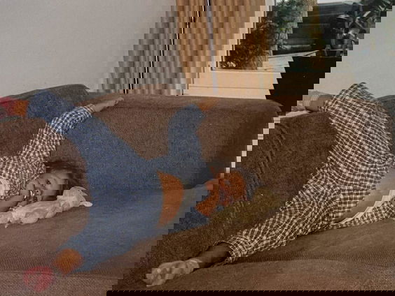 Kletsen met je knuffel