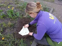 Bodemonderzoek met een begraven onderbroek