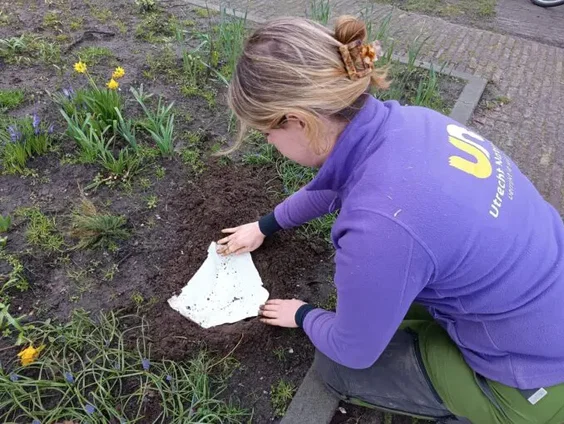 Bodemonderzoek met een begraven onderbroek