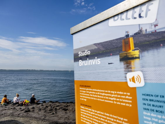 Bruinvissen verrassen vrijwilligers met paringsdans bij Zierikzee