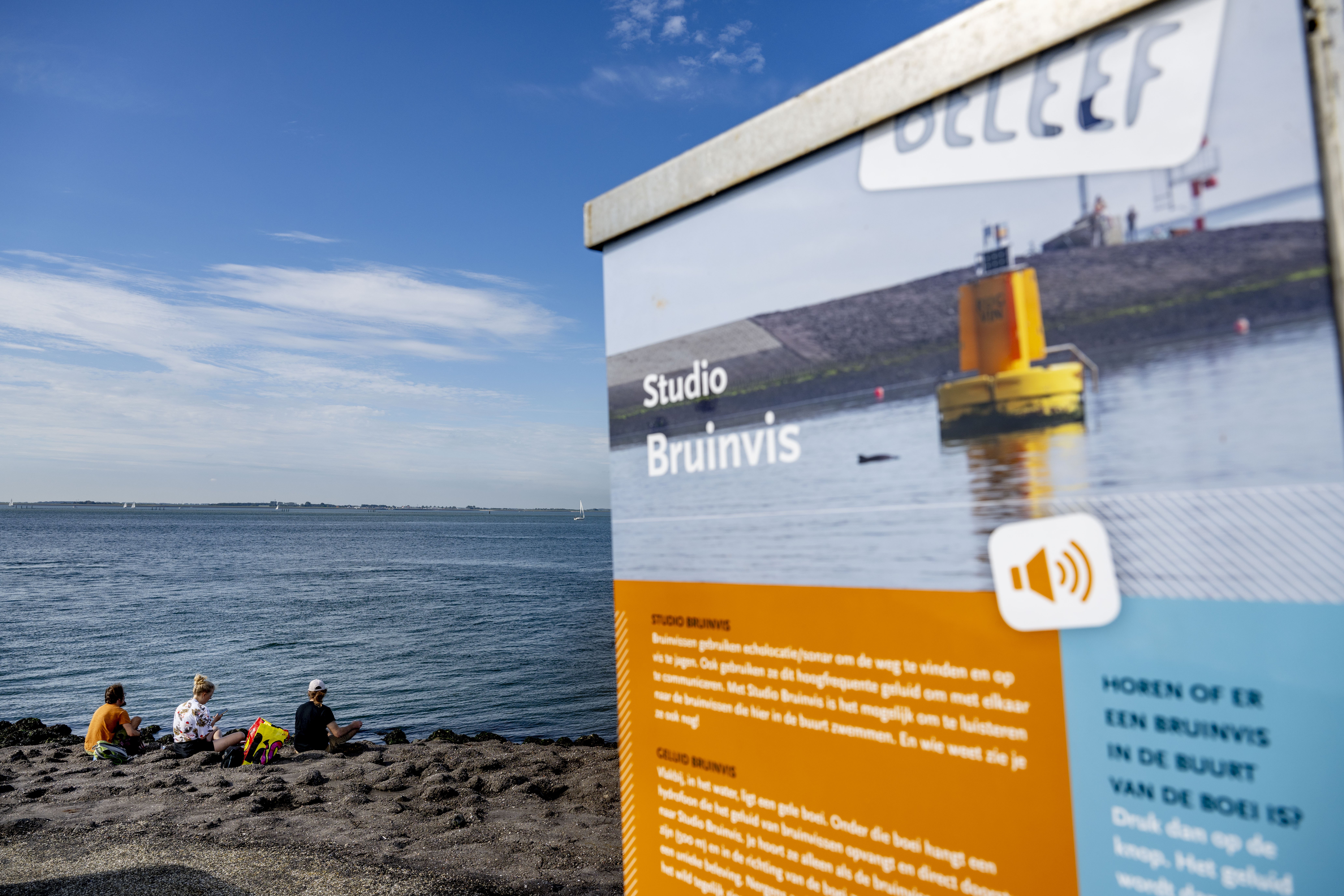 Bruinvissen verrassen vrijwilligers met paringsdans bij Zierikzee