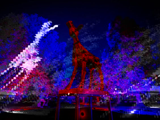 Kunstenaar Felix de Rooy geëerd met film en Gouden Kalf