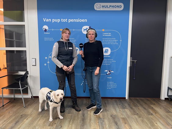 Uitzendbureau: 'Kunnen alle honden hulphond worden?'