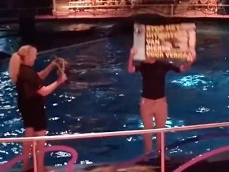 Debat: moet het Dolfinarium Harderwijk de deuren sluiten?