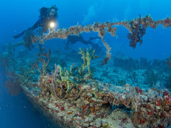 Wat scheepswrakken ons kunnen vertellen over de mensheid