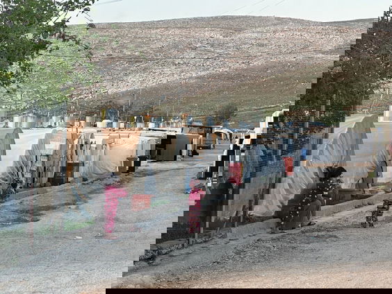 Yezidi-gemeenschap 10 jaar na genocide nog steeds in tentenkampen: 'Neem verantwoordelijkheid'