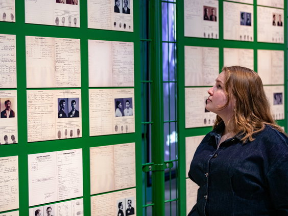 Limburg is de provincie met de meeste criminaliteit: waarom?