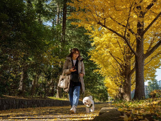 Vergroening in steden neemt door woningcrisis af