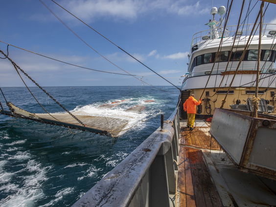 Coalitieakkoord doet beloftes aan de visserij, maar de Noordzee is nu al bomvol