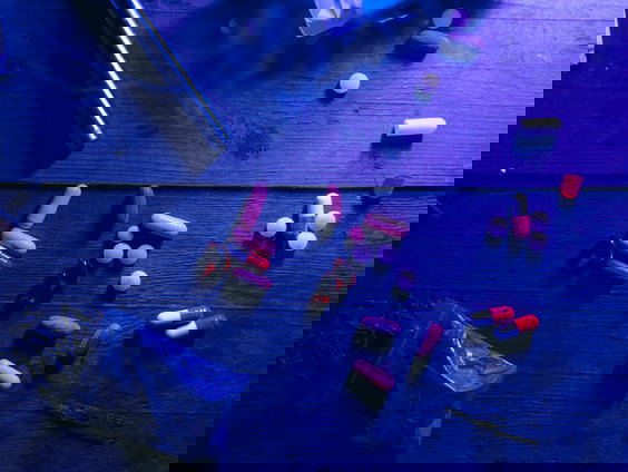 Heb je drugs nodig voor extatische seks?