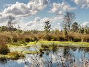 De Kortste Spreekbeurt: Oostsstellingwerf