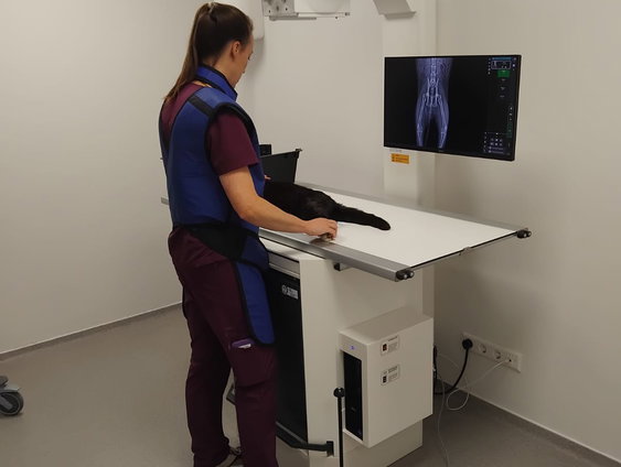 's Nachts in de dierenspoedkliniek