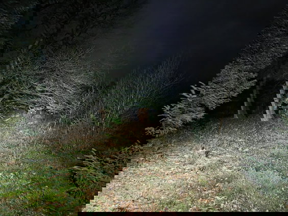 Oog in oog op de hei