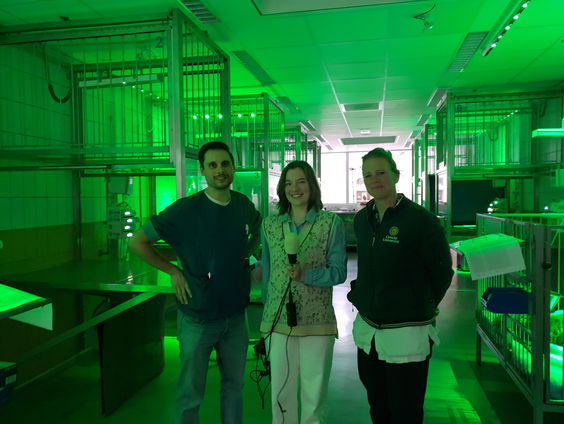 Ook in de nacht staan dierenartsen klaar voor Bello en Pluis