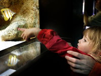 Oudste nog werkende aquarium in Artis helemaal gerenoveerd