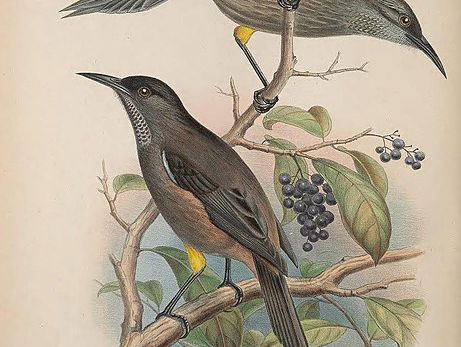 Verhalen van de natuur