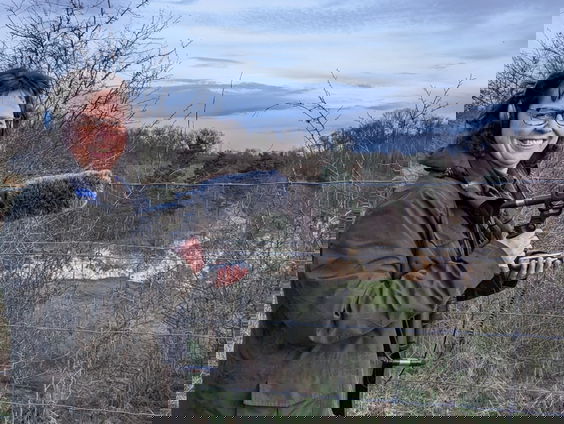 Maastrichtse oehoe-onderzoeker opgenomen in World Owl Hall of Fame