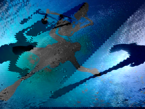 Zeeuwse Ruben ontdekte een nieuwe vissoort: 'Gaf jij hem die smerige naam?'