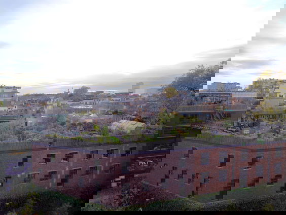 Grootste dakboerderij van de Benelux: groene oase in Antwerpen + filmpje