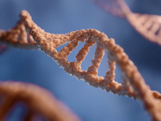 DNA-aanpassingen bij embryo's: waar trekken we de grens?