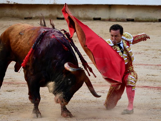 Mexico-stad maakt einde aan traditioneel stierenvechten