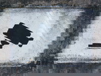 Hebben gemeenten digitale veiligheid hoog genoeg in het vaandel?