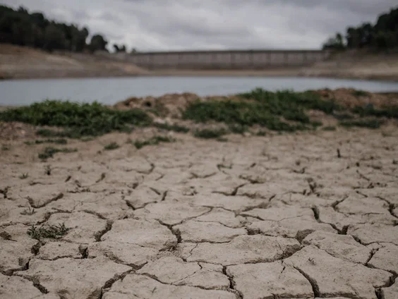 Waterschappen nemen maatregelen tegen droogte