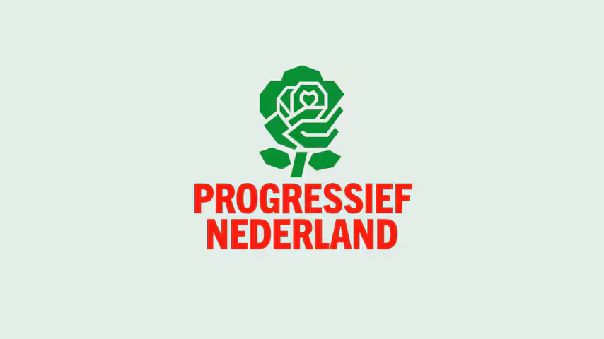 Is Progressief Nederland een goede naam? 'Móet wel een compromis zijn'