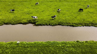 Knallende ruzie tussen BBB-ministers over mestplan