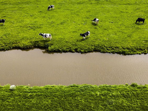 Knallende ruzie tussen BBB-ministers over mestplan