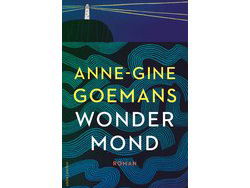 Wat is de grens tussen feit en fictie in een journalistieke roman?