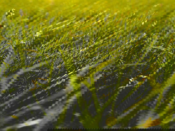 De Tijdscapsule met Eva Vriend