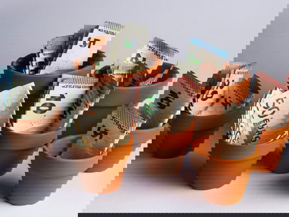 'Koppels van hetzelfde geslacht verdelen financiële taken eerlijker dan heterostellen'