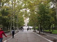 Wat heeft de verkrachtingszaak op Cornell voor impact?