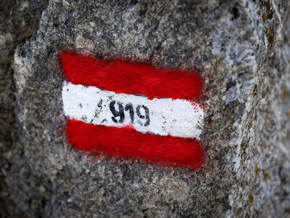 Voetbalplaatjes: hét EK-nummer waar Oostenrijk los op gaat