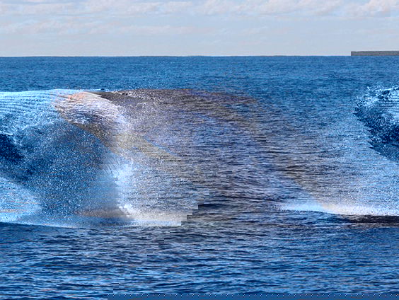 Voorzichtig positieve uitslag VN-Oceanentop | Update