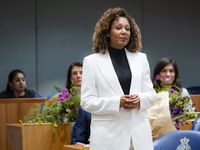 Ons politieke panel over Van Berkel die loog op haar cv