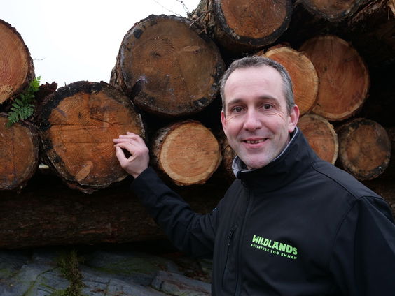 Poging twee op leeuwen-paringsproject lijkt geslaagd