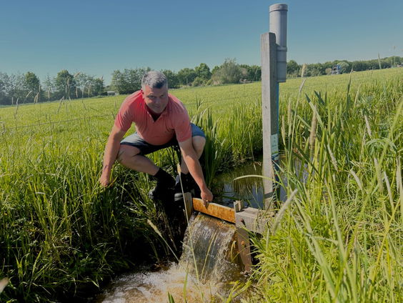Melkveehouder Jan vond een manier om zijn weiland nat te houden tijdens droogte