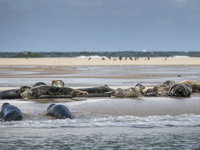 Gaan de Wadden op slot?