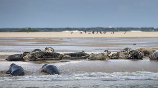Gaan de Wadden op slot?