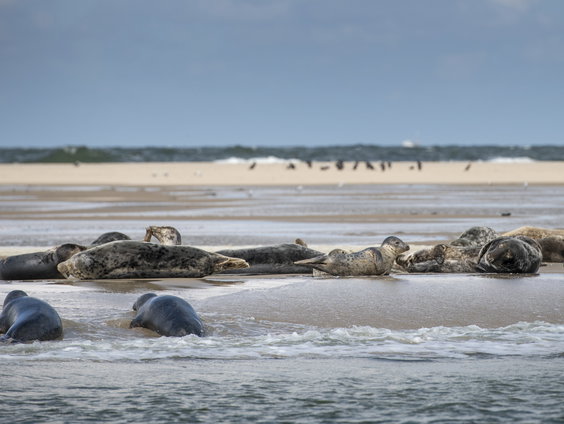 Gaan de Wadden op slot?