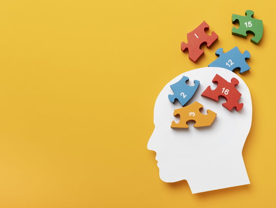 Hoe werkt het menselijk geheugen?